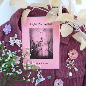 Cover of Light Perception by Beth O'Brien